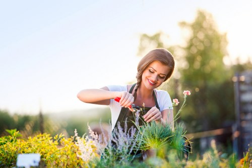 Gardener arranging tools at a Plumstead front garden