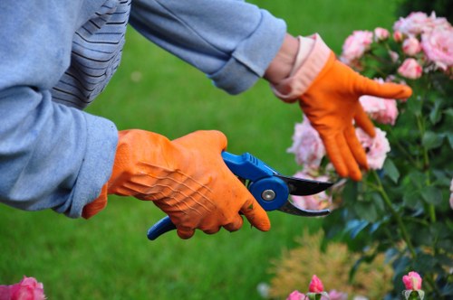 Gardening team with tools arriving at a residential property in Plumstead