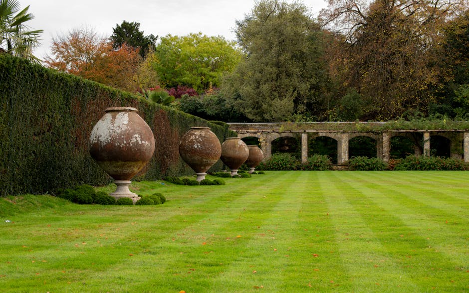 A well-maintained garden featuring a lush, evenly mowed lawn with visible mowing lines, bordered by a neatly trimmed evergreen hedge running along the left side. Standing in a row on the grass are fou